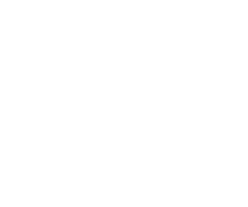 CEO MESSAGE